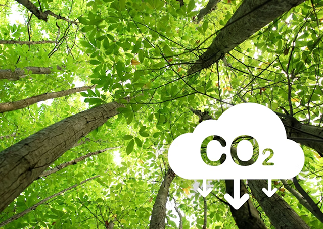 carbon2.png
