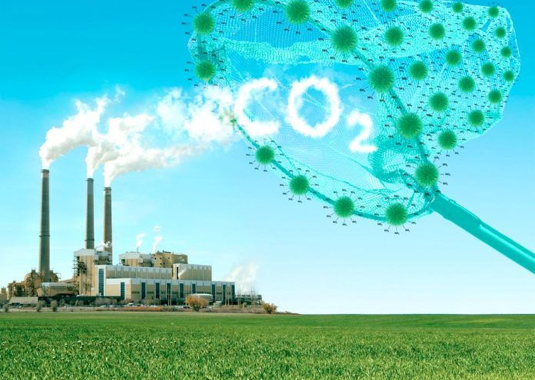 sustainability2.png