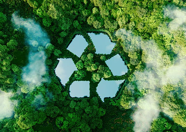 sustainability4.png